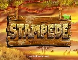 Roobet Stampede